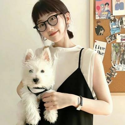 海象海象不要哭